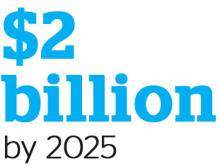 $2 billion by 2025